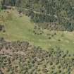 Oblique aerial view of Kinrive Wood, looking NNW.