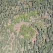 Oblique aerial view of the earthwork, looking N.