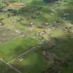 Oblique aerial view of Balvaird township, looking E.