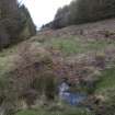 Dunloskin Wood