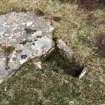 Cist, Rousay, North House.