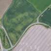 Oblique aerial view of the cropmarks of the rectilinear settlement, looking SE.