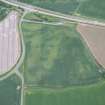 Oblique aerial view of the cropmarks of the rectilinear settlement, looking NW.