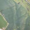 Oblique aerial view of the cropmarks of the settlement, looking NW.