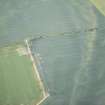 Oblique aerial view of the cropmarks of the settlement, looking WNW.