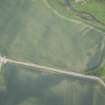 Oblique aerial view of the cropmarks of the unenclosed settlement and pit alignment, looking NNW.