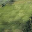 Oblique aerial view of the cropmarks of the enclosure and the pit-defined boundary system, looking WSW.