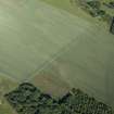Oblique aerial view of the cropmarks of the settlement and pits, looking NW.