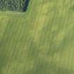 Oblique aerial view of the cropmarks of the pit-defined boundary, looking WSW.