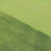 Oblique aerial view of the cropmarks of the palisaded settlement, looking SE.