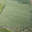 Oblique aerial view of the cropmark maculae, looking NNW.