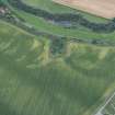 Oblique aerial view of the cropmarks of the fort, looking SSE.