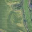 Oblique aerial view of the cropmarks of the fort, looking ENE.