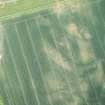 Oblique aerial view of the cropmarks of the settlement at Standingstone, looking E.
