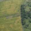 Oblique aerial view of the cropmarks of the pit-defined boundary system and enclosure, looking WSW.