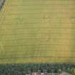Oblique aerial view of the cropmarks of the settlement, looking E.
