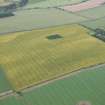 General oblique aerial view of the cropmarks of the settlement with Kilduff Mains farmsteading adjacent, looking SSW.