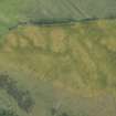 Oblique aerial view of the cropmarks of the forts, looking ESE.
