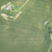 Oblique aerial view of Inchdrewer Castle and the cropmarks of the ditch, looking SE.