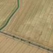 Oblique aerial view of the cropmarks of the pit defined boundary, looking SW.
