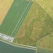 Oblique aerial view of the cropmarks of the possible sunken floored buildings, the field boundary and the possible quarrying, looking SSE.