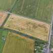 Oblique aerial view of the cropmarks of the enclosure and the rig, looking SSE.