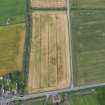 Oblique aerial view of the cropmarks of the enclosure and the rig, looking E.