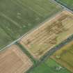 Oblique aerial view of the cropmarks of the enclosure and the rig, looking SW.
