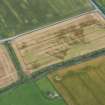 Oblique aerial view of the cropmarks of the enclosure and the rig, looking SSW.