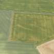 Oblique aerial view of the cropmarks of the enclosure, looking SSE.