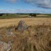 Cullearnie Ring Cairn. Monolith at NE edge of site.