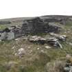 View of the ruined farmstead, looking east.