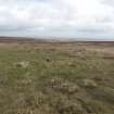 View of ruined farmstead at Stouramira, looking north.