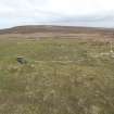 View of ruined farmstead at Stouramira, looking north.