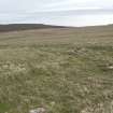 View of earlier and later phases of the farmyard, looking ENE.