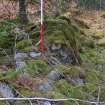 Stone/turf enclosure wall in centre of survey area, Inchnacardoch Forest Block, South Loch Ness