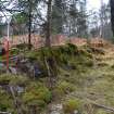 Stone/turf enclosure wall in centre of survey area, Inchnacardoch Forest Block, South Loch Ness