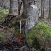 Upright slab, possible boundary marker, built into head dyke Site 22, Inchnacardoch Forest Block, South Loch Ness