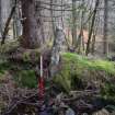 Upright slab, possible boundary marker, built into head dyke Site 22, Inchnacardoch Forest Block, South Loch Ness