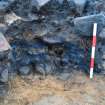 Charcoal-rich and fire-cracked stone layer on west side of rubble wall - visible in north facing Trench 1 section, Comar Wood Dun, Cannich, Strathglass