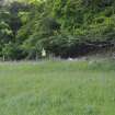 Large possible burial cairn on the north side of the wall, Torvean Golf Course, Sports Hub, Kilvean Cemetery