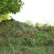 Stone house within fairly dense vegetation, Torvean Golf Course, Sports Hub, Kilvean Cemetery