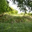 Stone house within fairly dense vegetation, Torvean Golf Course, Sports Hub, Kilvean Cemetery