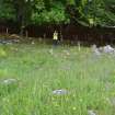 Large possible burial cairn on the north side of the wall, Torvean Golf Course, Sports Hub, Kilvean Cemetery