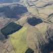 Oblique aerial view of the possible barrow and plantation bank with the fort beyond, looking SSW.