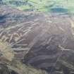 Oblique aerial view of the hut circles and cairnfields on the grouse moor at Pitcarmick in Strathardle, looking NE.