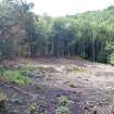 Pre-excavation view of track showing wall [001], photograph from watching brief at Hopetoun Estate for proposed cycle path, West Lothian