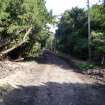 Post-excavation view of track to north of churchyard, photograph from watching brief at Hopetoun Estate for proposed cycle path, West Lothian