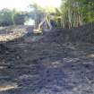 Trench excavated to gain topsoil, photograph from watching brief at Hopetoun Estate for proposed cycle path, West Lothian