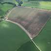 Oblique aerial view of the field to the W of Kelloe Mains centred on NT 8329 5362, showing the circular marks in the differentially drying soils probably the result of winter trickle irrigation with slurry on a pivot system. Looking SSE.